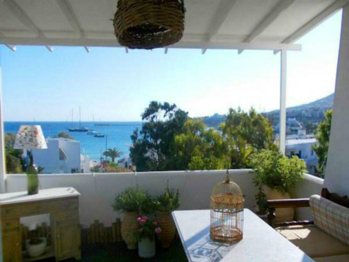 The Collector'S Home Φοίνικας Εξωτερικό φωτογραφία