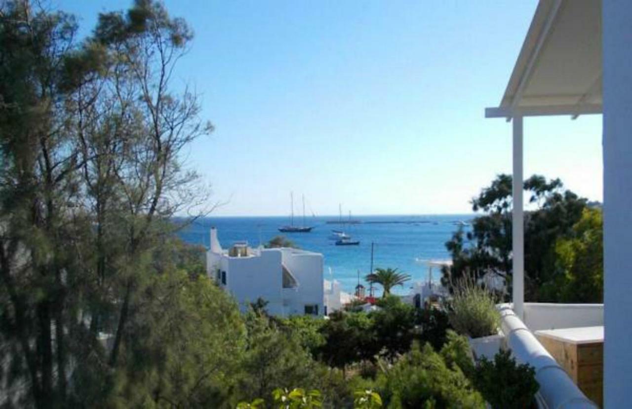 The Collector'S Home Φοίνικας Εξωτερικό φωτογραφία